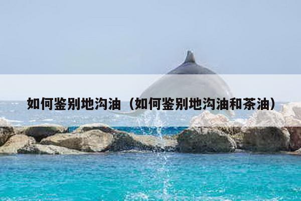 如何鉴别地沟油（如何鉴别地沟油和茶油）