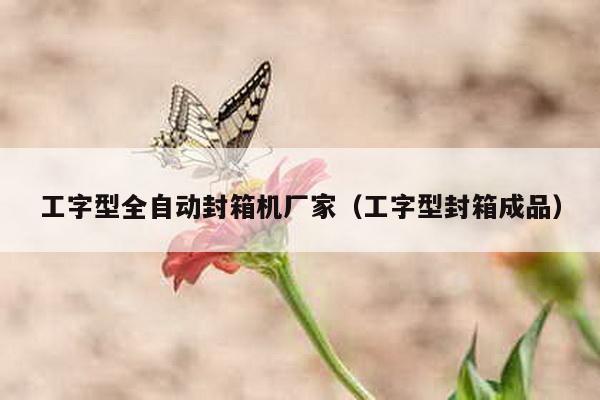 工字型全自动封箱机厂家（工字型封箱成品）