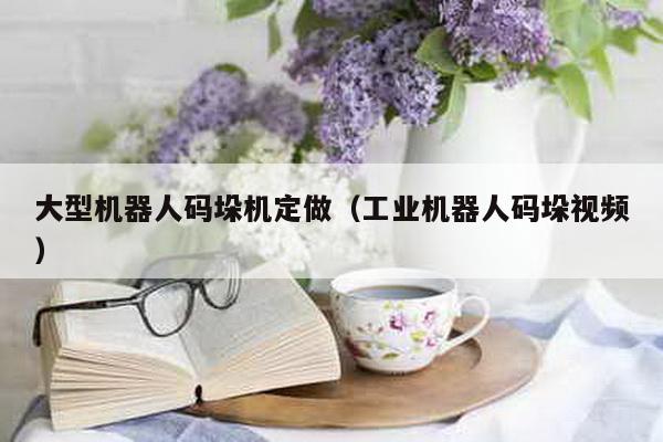 大型机器人码垛机定做（工业机器人码垛视频）