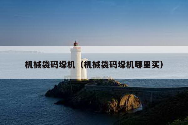 机械袋码垛机（机械袋码垛机哪里买）