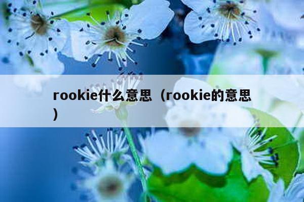 rookie什么意思（rookie的意思）