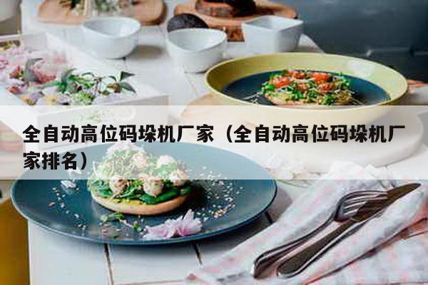 全自动高位码垛机厂家（全自动高位码垛机厂家排名）