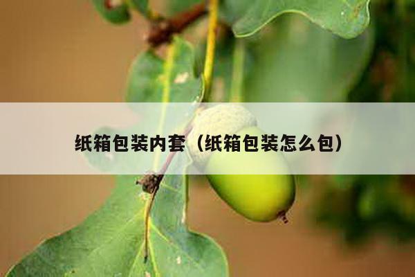 纸箱包装内套（纸箱包装怎么包）