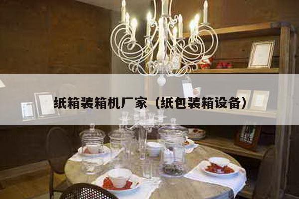 纸箱装箱机厂家（纸包装箱设备）