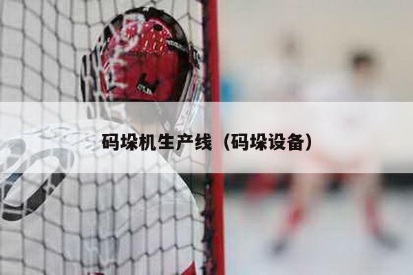 码垛机生产线（码垛设备）