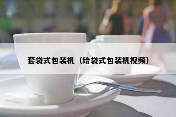 套袋式包装机（给袋式包装机视频）