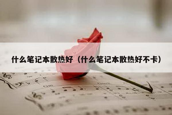 什么笔记本散热好（什么笔记本散热好不卡）