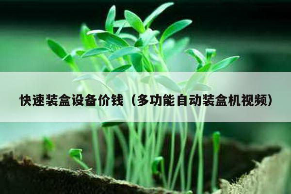 快速装盒设备价钱（多功能自动装盒机视频）