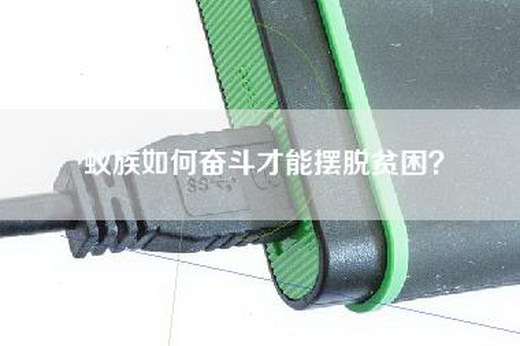蚁族如何奋斗才能摆脱贫困？