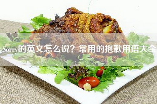 Sorry的英文怎么说？常用的抱歉用语大全