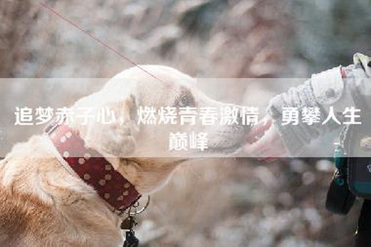 追梦赤子心，燃烧青春激情，勇攀人生巅峰