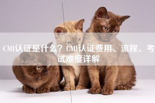 CMI认证是什么？CMI认证费用、流程、考试难度详解