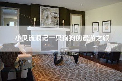 小贝流浪记一只狗狗的漫游之旅