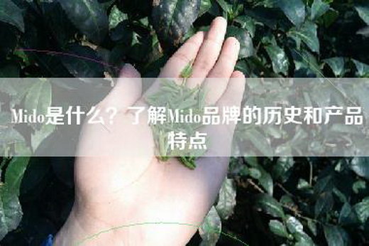 Mido是什么？了解Mido品牌的历史和产品特点