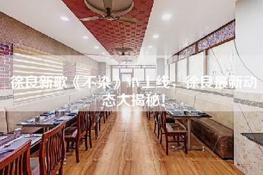 徐良新歌《不染》MV上线，徐良最新动态大揭秘！