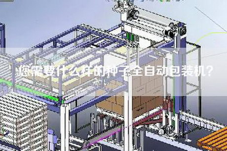 您需要什么样的种子全自动包装机？