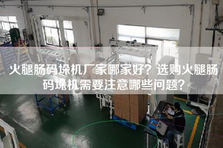 火腿肠码垛机厂家哪家好？选购火腿肠码垛机需要注意哪些问题？