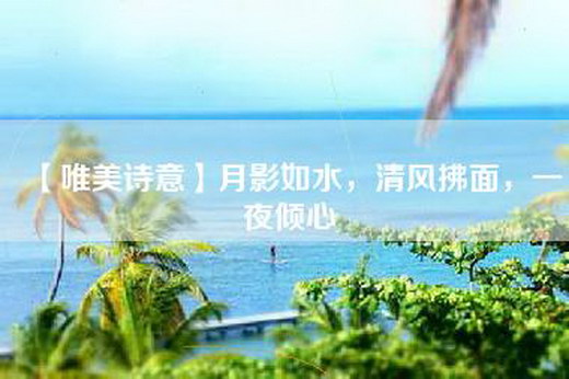 【唯美诗意】月影如水，清风拂面，一夜倾心