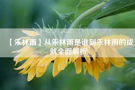 【朱林雨】从朱林雨是谁到朱林雨的成就全面解析