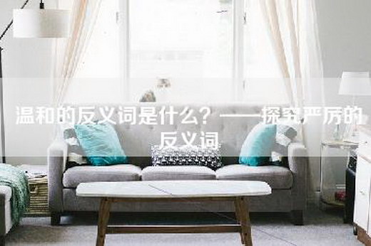 温和的反义词是什么？——探究严厉的反义词