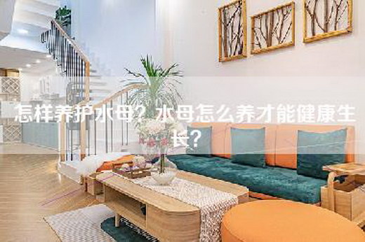 怎样养护水母？水母怎么养才能健康生长？