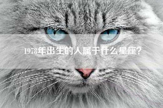 1978年出生的人属于什么星座？