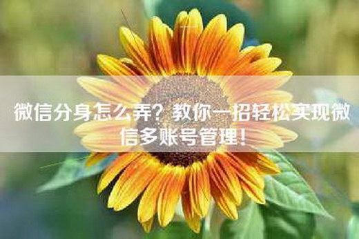 微信分身怎么弄？教你一招轻松实现微信多账号管理！