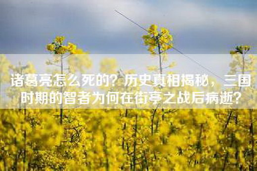 诸葛亮怎么死的？历史真相揭秘，三国时期的智者为何在街亭之战后病逝？
