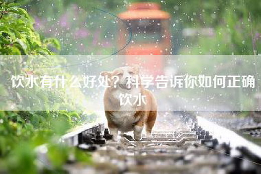 饮水有什么好处？科学告诉你如何正确饮水