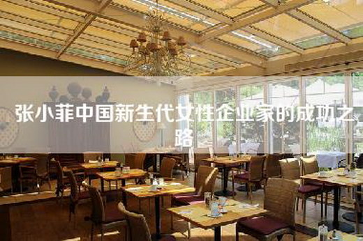 张小菲中国新生代女性企业家的成功之路