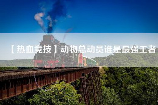 【热血竞技】动物总动员谁是最强王者