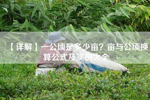 【详解】一公顷是多少亩？亩与公顷换算公式及实例大全