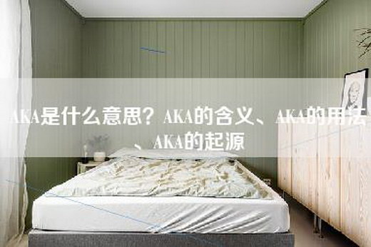 AKA是什么意思？AKA的含义、AKA的用法、AKA的起源