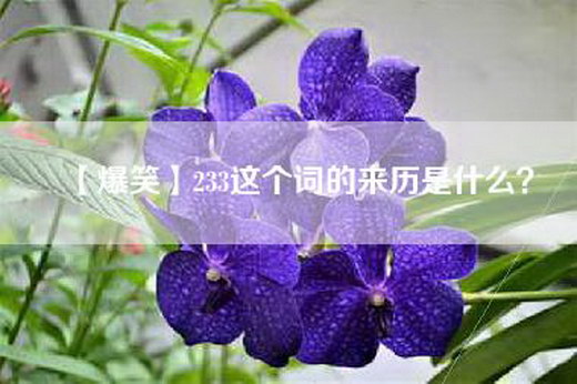 【爆笑】233这个词的来历是什么？