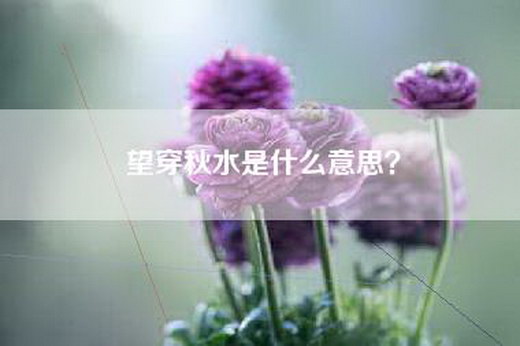 望穿秋水是什么意思？