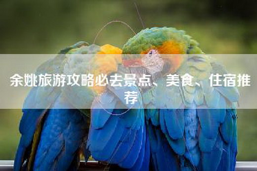 余姚旅游攻略必去景点、美食、住宿推荐