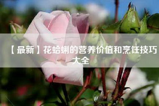 【最新】花蛤蜊的营养价值和烹饪技巧大全