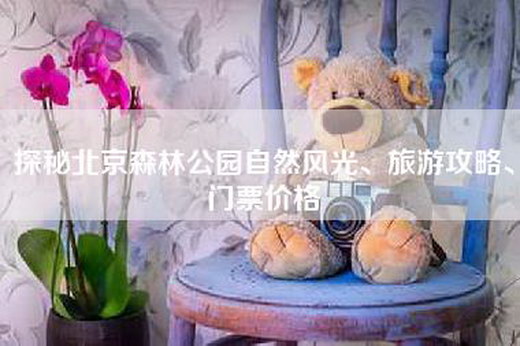 探秘北京森林公园自然风光、旅游攻略、门票价格
