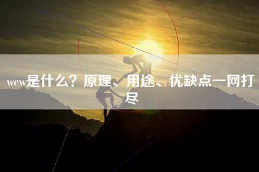 wew是什么？原理、用途、优缺点一网打尽