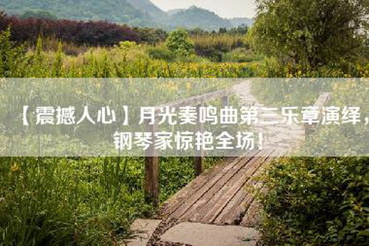 【震撼人心】月光奏鸣曲第三乐章演绎，钢琴家惊艳全场！