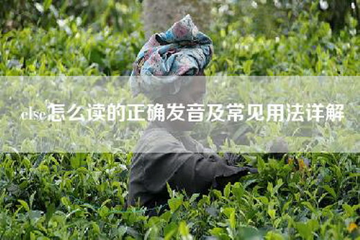 else怎么读的正确发音及常见用法详解