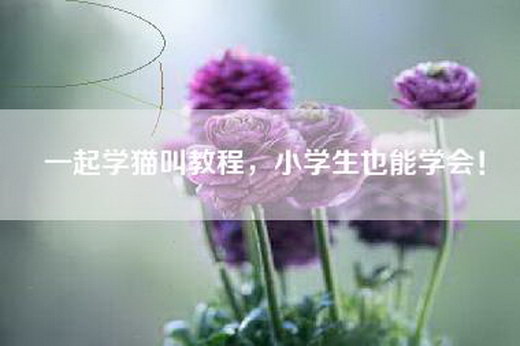 一起学猫叫教程，小学生也能学会！