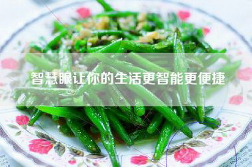 智慧眼让你的生活更智能更便捷