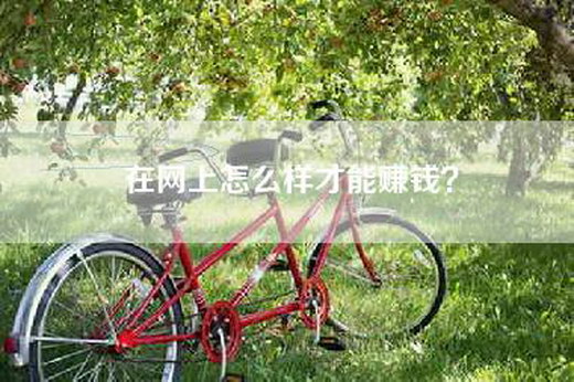 在网上怎么样才能赚钱？