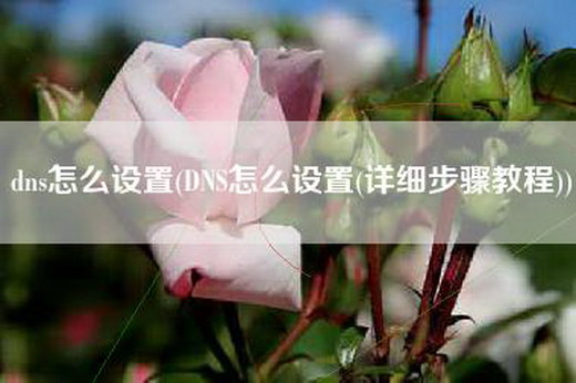 dns怎么设置(DNS怎么设置(详细步骤教程))