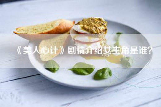 《美人心计》剧情介绍女主角是谁？