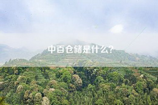 中百仓储是什么？