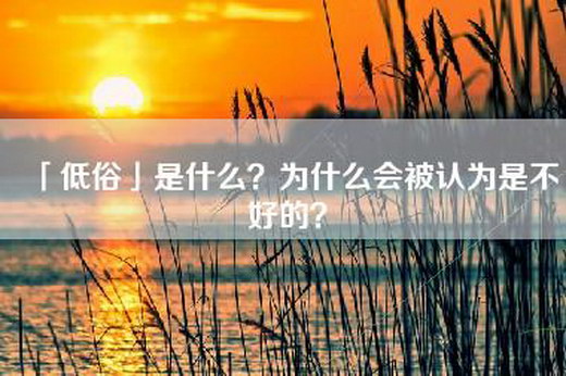 「低俗」是什么？为什么会被认为是不好的？
