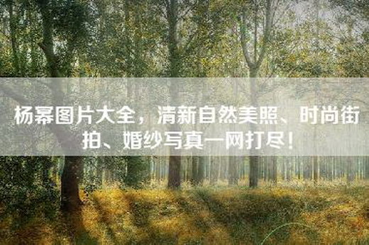 杨幂图片大全，清新自然美照、时尚街拍、婚纱写真一网打尽！