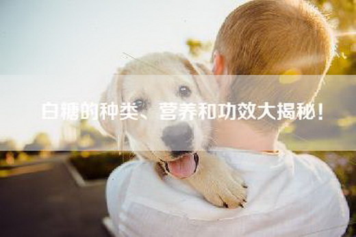 白糖的种类、营养和功效大揭秘！